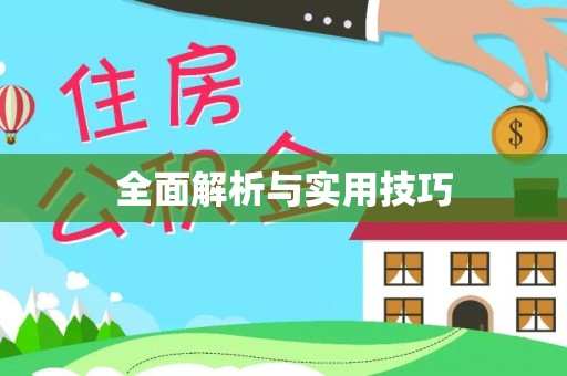 宁晋全面解析与实用技巧