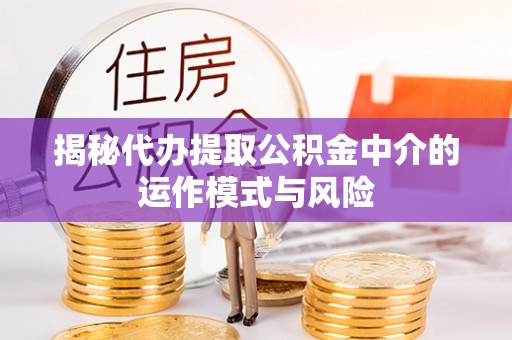 宁晋揭秘代办提取公积金中介的运作模式与风险