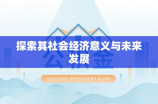 宁晋探索其社会经济意义与未来发展