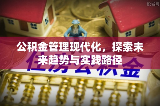 宁晋公积金管理现代化，探索未来趋势与实践路径