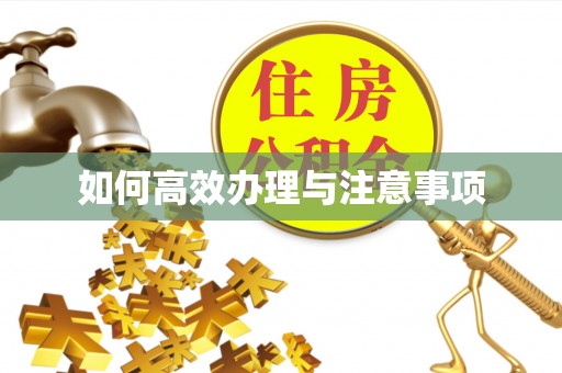 宁晋如何高效办理与注意事项