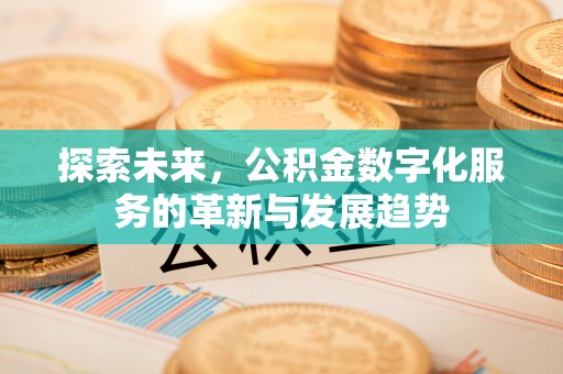 宁晋探索未来，公积金数字化服务的革新与发展趋势