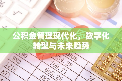 宁晋公积金管理现代化，数字化转型与未来趋势