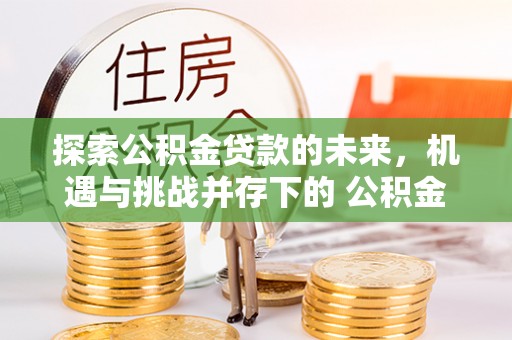 宁晋探索公积金贷款的未来，机遇与挑战并存下的 公积金贷款风险防控