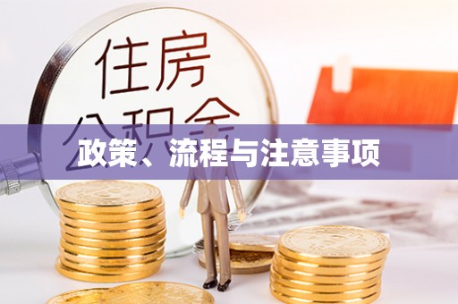 宁晋政策、流程与注意事项