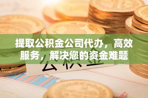 宁晋提取公积金公司代办，高效服务，解决您的资金难题