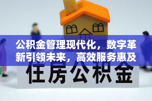 宁晋公积金管理现代化，数字革新引领未来，高效服务惠及民生