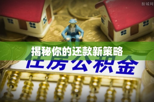 宁晋揭秘你的还款新策略