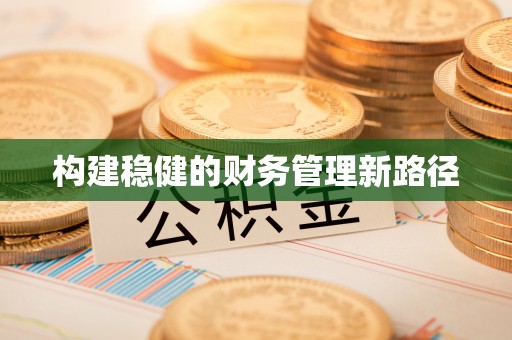 宁晋构建稳健的财务管理新路径