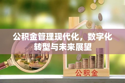 宁晋公积金管理现代化，数字化转型与未来展望