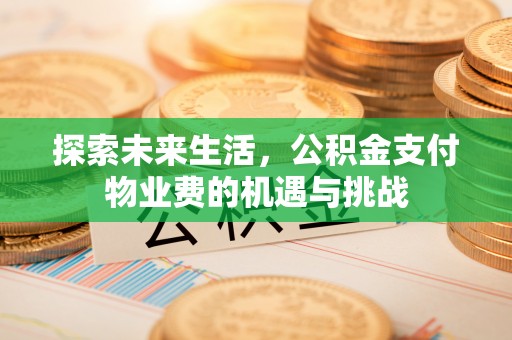 宁晋探索未来生活，公积金支付物业费的机遇与挑战
