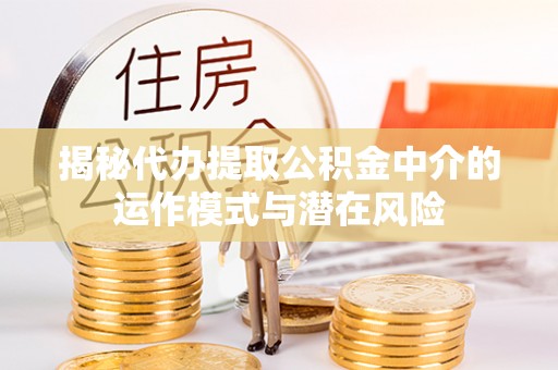 宁晋揭秘代办提取公积金中介的运作模式与潜在风险
