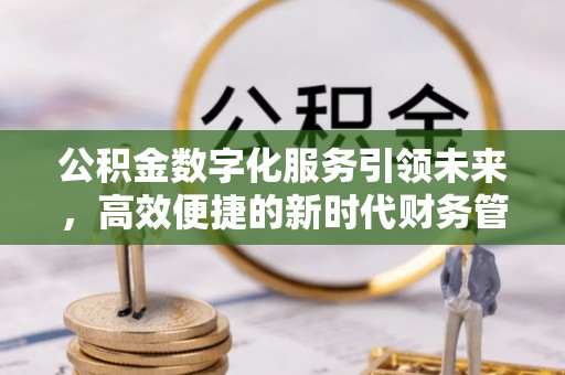 宁晋公积金数字化服务引领未来，高效便捷的新时代财务管理