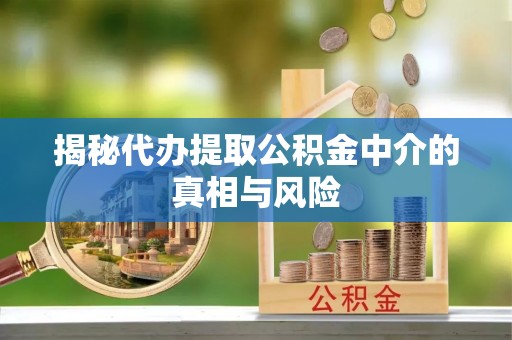 宁晋揭秘代办提取公积金中介的真相与风险