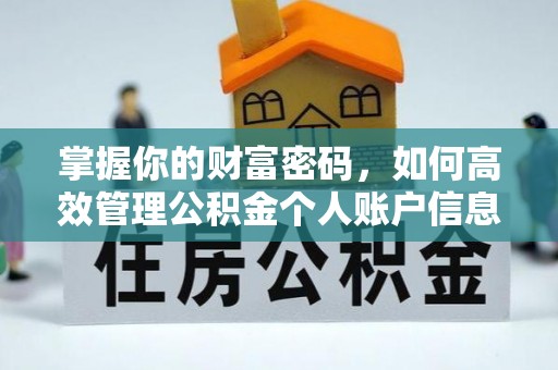 宁晋掌握你的财富密码，如何高效管理公积金个人账户信息