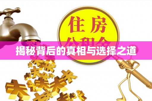 宁晋揭秘背后的真相与选择之道