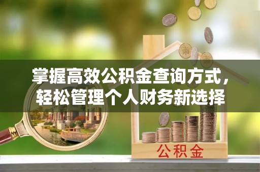 宁晋掌握高效公积金查询方式，轻松管理个人财务新选择