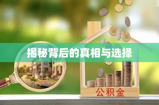 宁晋揭秘背后的真相与选择