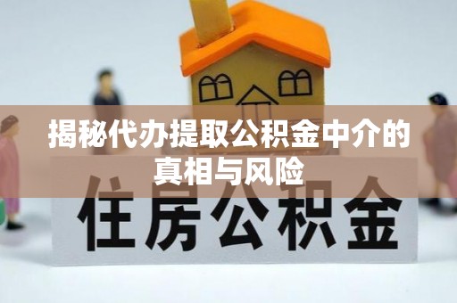 宁晋揭秘代办提取公积金中介的真相与风险