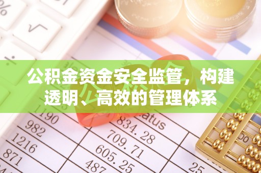 宁晋公积金资金安全监管，构建透明、高效的管理体系