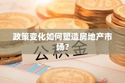 宁晋政策变化如何塑造房地产市场？