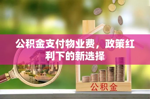 宁晋公积金支付物业费，政策红利下的新选择