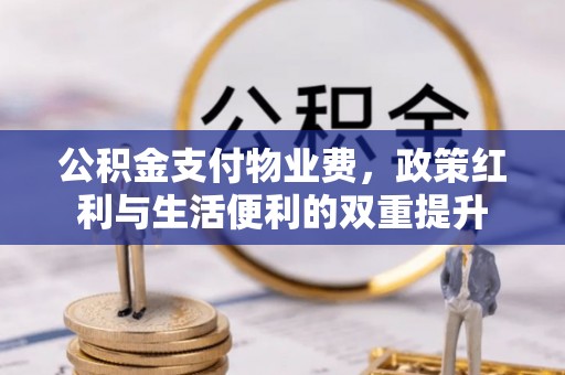 宁晋公积金支付物业费，政策红利与生活便利的双重提升