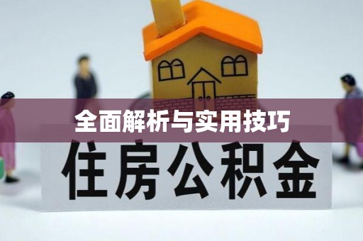 宁晋全面解析与实用技巧