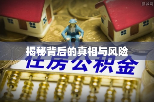 宁晋揭秘背后的真相与风险