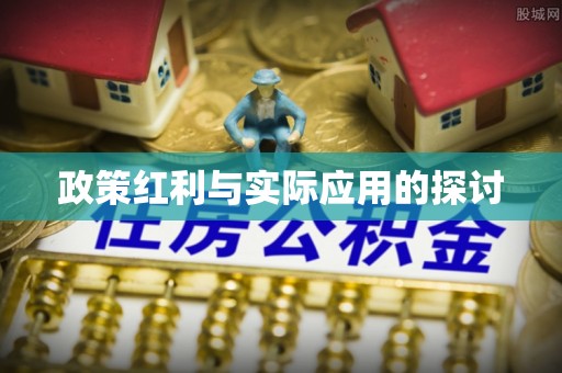 宁晋政策红利与实际应用的探讨