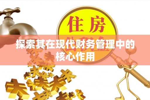 宁晋探索其在现代财务管理中的核心作用