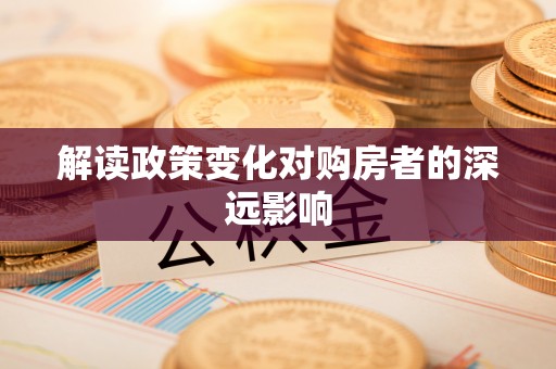 宁晋解读政策变化对购房者的深远影响