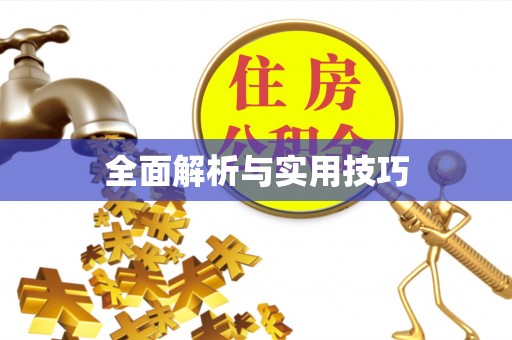 宁晋全面解析与实用技巧
