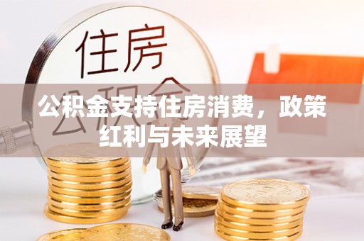 宁晋公积金支持住房消费，政策红利与未来展望
