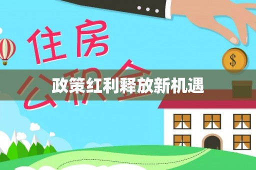 宁晋政策红利释放新机遇
