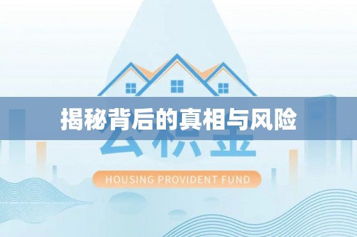 宁晋揭秘背后的真相与风险