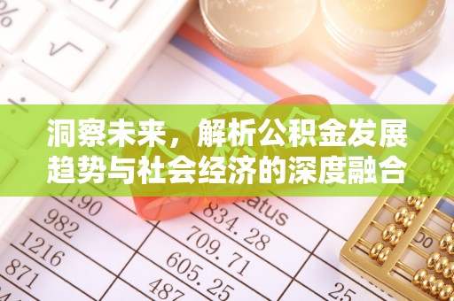 宁晋洞察未来，解析公积金发展趋势与社会经济的深度融合