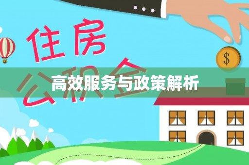 宁晋高效服务与政策解析