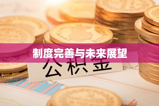 宁晋制度完善与未来展望