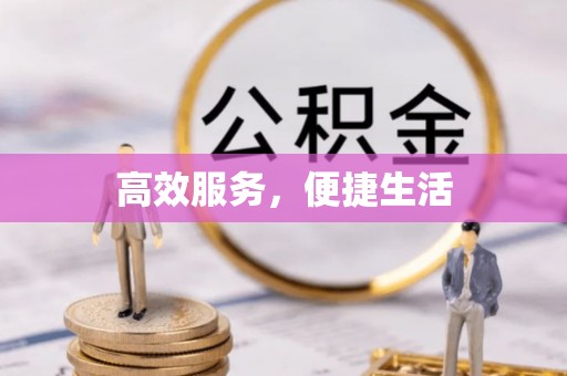 宁晋高效服务，便捷生活