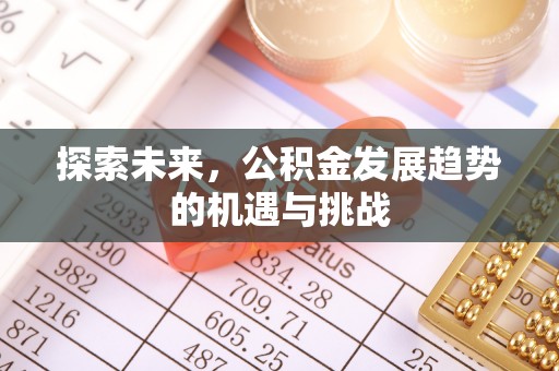 宁晋探索未来，公积金发展趋势的机遇与挑战