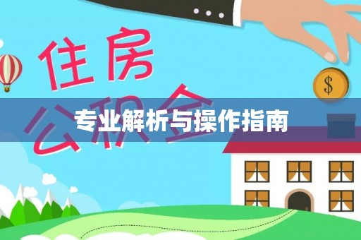 宁晋专业解析与操作指南