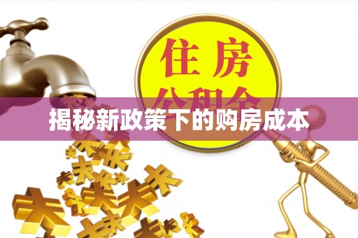 宁晋揭秘新政策下的购房成本