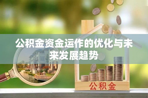 宁晋公积金资金运作的优化与未来发展趋势