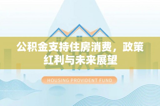 宁晋公积金支持住房消费，政策红利与未来展望