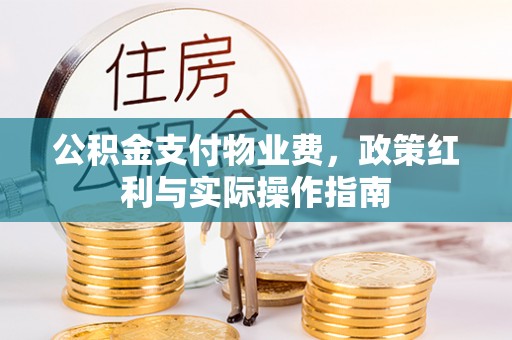 宁晋公积金支付物业费，政策红利与实际操作指南