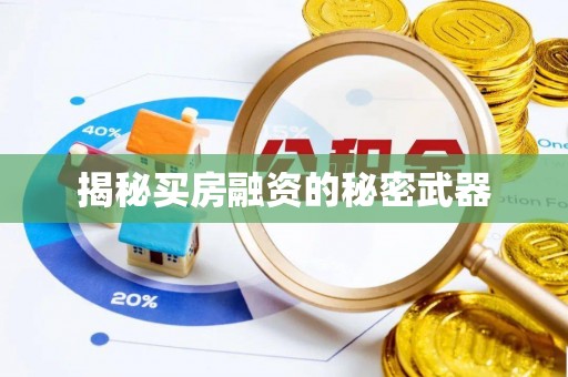 宁晋揭秘买房融资的秘密武器
