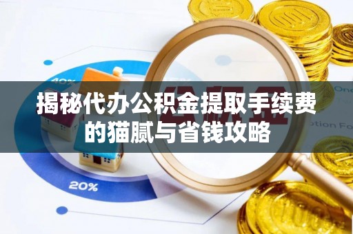 宁晋揭秘代办公积金提取手续费的猫腻与省钱攻略