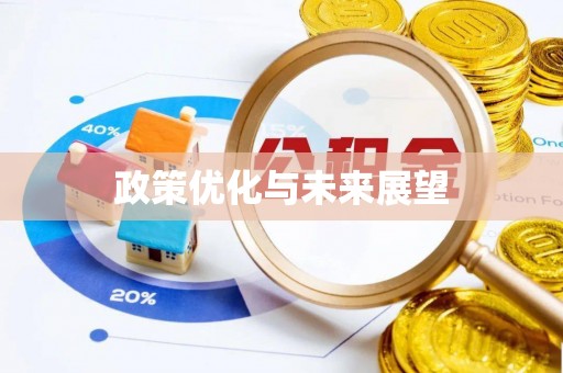 宁晋政策优化与未来展望
