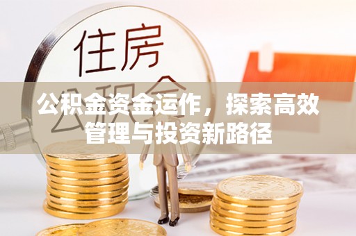 宁晋公积金资金运作，探索高效管理与投资新路径